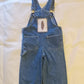 Kids Grateful Dead Eco Overalls 4t