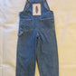 Kids Grateful Dead Eco Overalls 4t